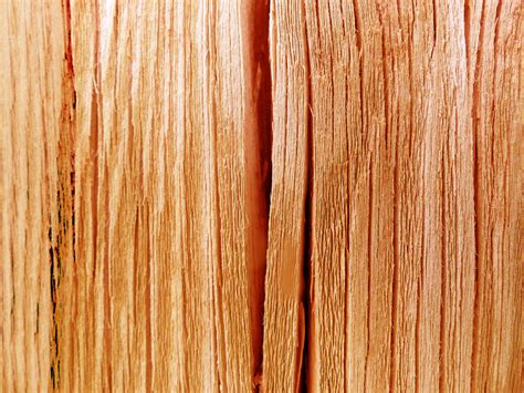 Wood Fence Texture Closeup Free Stock Photo - Public Domain Pictures