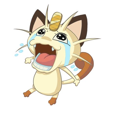 Meowth Chopper Crying | Chopper Crying | Know Your Meme