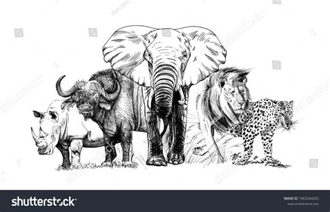 Big African Five Animal Hand Drawn Stock Illustration 1963284205 | Shutterstock