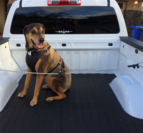 Safety Harness for Dog to Ride in Pickup Truck Bed : 6 Steps (with Pictures) - Instructables