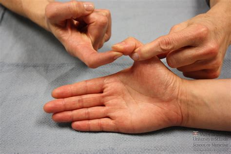 5 Main Causes You Must Know About Thumb Joint Pain - Highland Park News