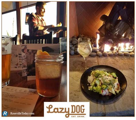 Lazy Dog Restaurant in Roseville a deliciously great time - Roseville Today