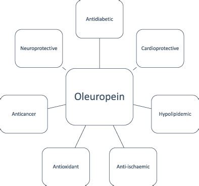 Oleuropein: A natural antioxidant molecule in the treatment of ...