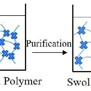 Schematic representation of general hydrogel preparation steps. | Download Scientific Diagram