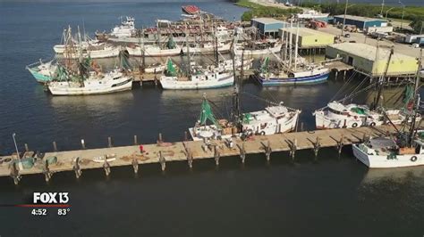 Where to get shrimp in Tampa, right off the boat | FOX 13 Tampa Bay