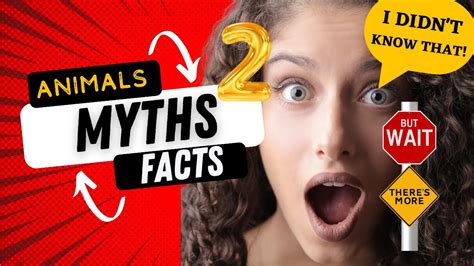 Incredible Animal Facts & Myths That Will Shock You #2! Debunked ...