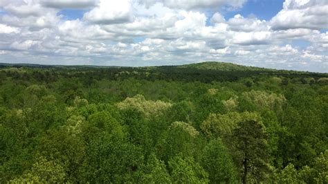 Duke Forest: A 7,000-Acre ‘Living Lab’ for Research, Learning and Recreation | Nicholas School ...