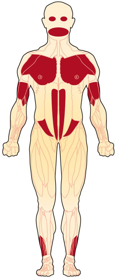 안면견갑상완 근 이영양증(Facioscapulohumeral muscular dystrophy) : 네이버 블로그