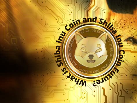 What is Shiba Inu Coin and Shiba Inu Coin Future? | Get Crypto Tips