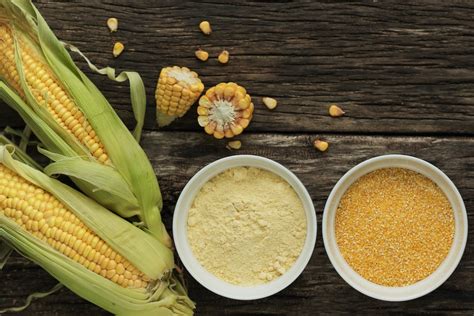 Corn Meal vs Corn Starch: Understanding the Differences - Animascorp