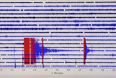 Earthquakes Canada receives hundreds of reports in B.C. after 4.9 ...