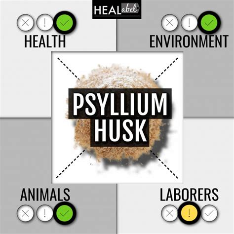 Psyllium Husk Benefits, Side Effects: Low Fodmap, Gluten, Vegan?