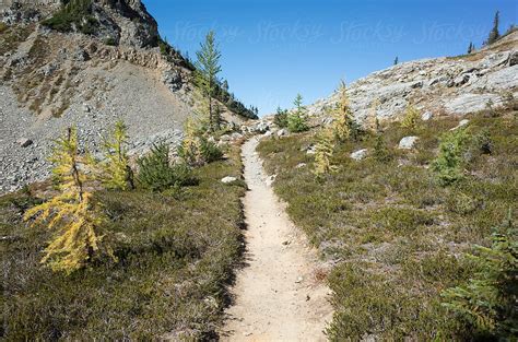 "Hiking Trail Through Alpine Meadow, Autumn" by Stocksy Contributor "Rialto Images" - Stocksy