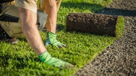 Football Field Maintenance | Soccer Field Maintenance | Tree Pruning