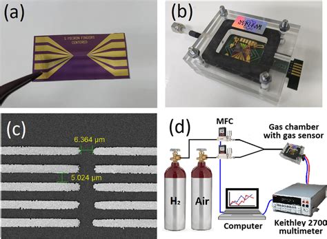 Images of a silicon microfabricated chip, b sensor chip loaded in a ...