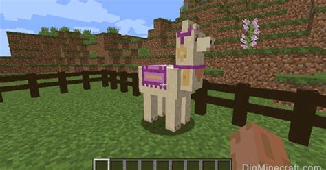 Minecraft All Llama Carpet Colors - Inter disciplina