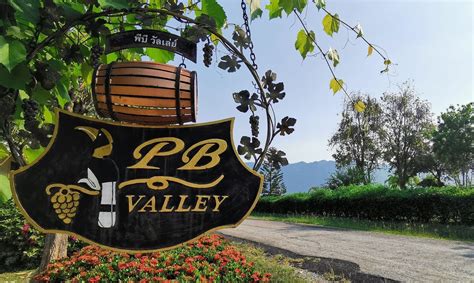 Winery Tour - PB Valley Khao Yai Winery