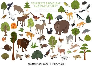 Examples Of Terrestrial And Aquatic Animals Clipart