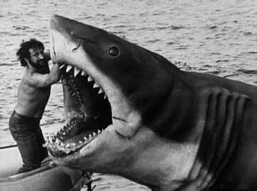 Bruce | Jaws Wiki | Fandom