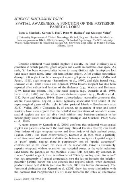 (PDF) Spatial Awareness: A Function of the Posterior Parietal Lobe? | Giuseppe Vallar - Academia.edu