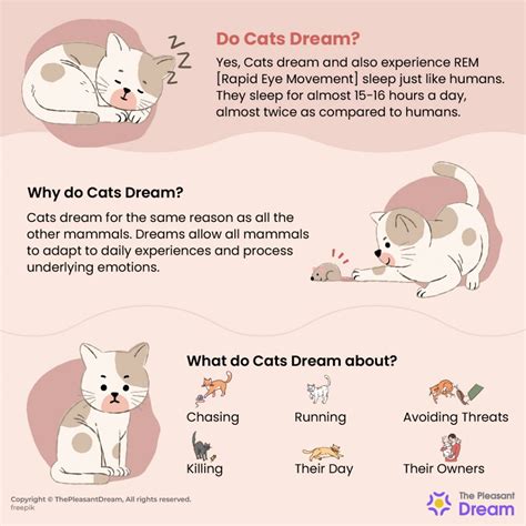 What Do Cats Dream About? Chasing, Killing or Humans? Let's Find Out!