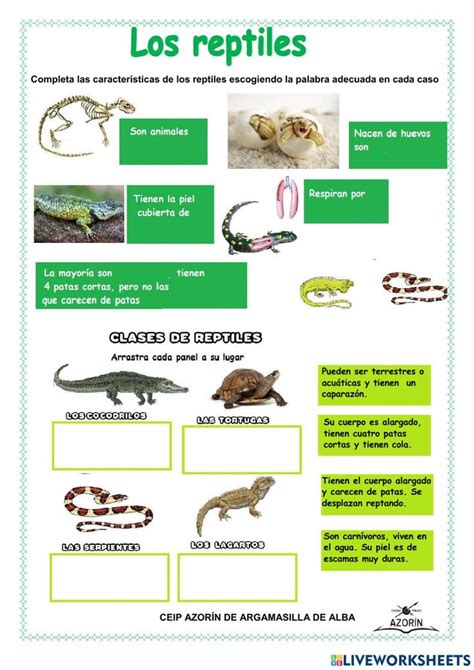 the poster shows different types of reptiles and their names in spanish, with pictures of