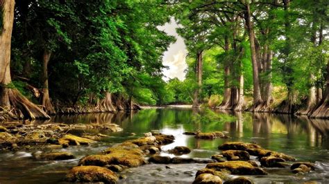 River Shore Stones Tall Green Trees Leaves Calm Water Stones Reflection HD Nature Wallpapers ...