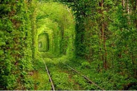 Tunnel of Love | World's First Tunnel Dedicated to Love