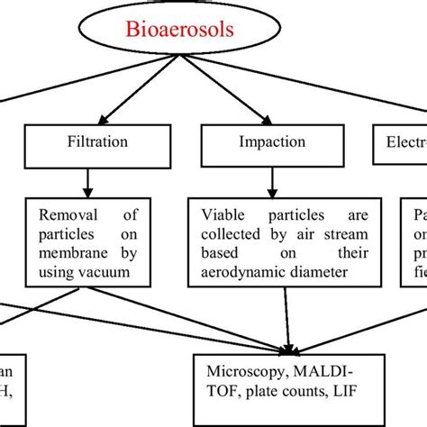 Bioaerosols sampling methods and identification by using different... | Download Scientific Diagram