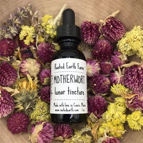 Motherwort Tincture | Rooted Earth Farms