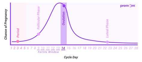 Menstrual Cycle Chart Fertility