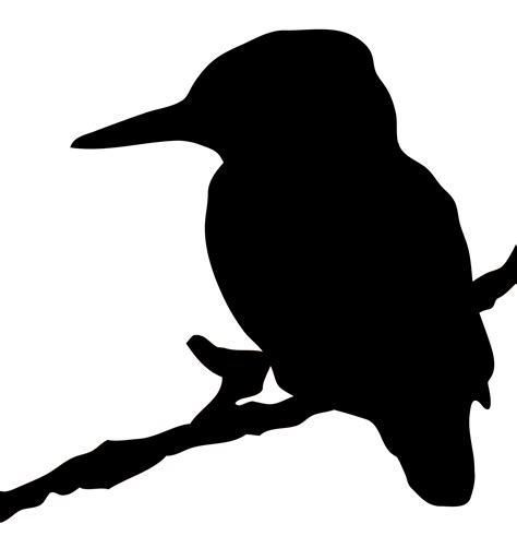 Kingfisher Outline - ClipArt Best