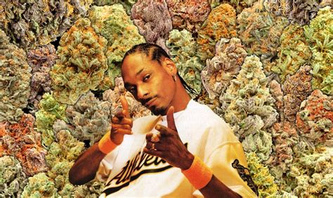 Snoop Dogg has masterminded a "weed lifestyle site" | Music News | Crack Magazine