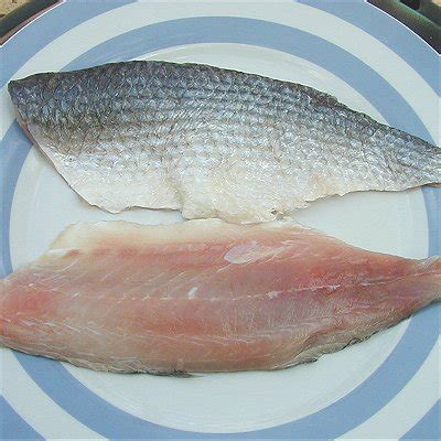 Cooking Sea Mullet | Recipes using Mullet