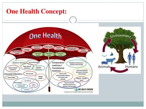 Important Zoonotic disease and its prevention and control By: Dr.Mano…