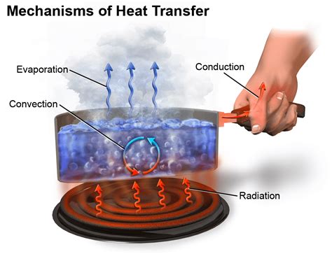 Microwaving water really isn't the same as heating it