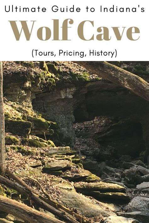 Ultimate Guide to Wolf Cave, Indiana (Tours, Pricing, History, Map) - World of Caves