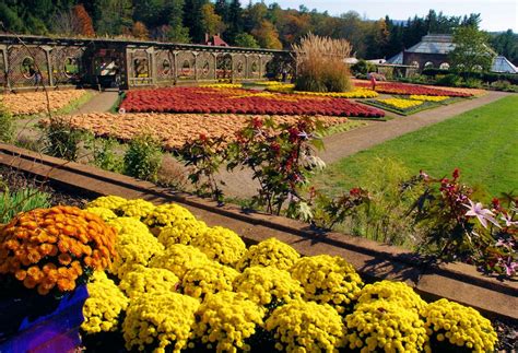 Biltmore Estate Fall Colors | Biltmore estate, Biltmore estate asheville, Biltmore house