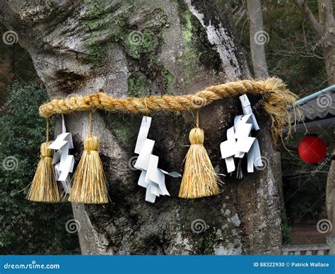 Shimenawa Around Tree, Himure Hachiman Shrine, Omi-Hachiman, Stock Photo - Image of kami, paper ...