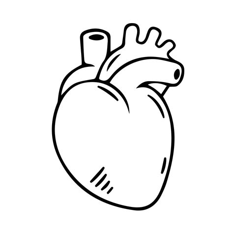 Free Human Heart Clipart Black and White - EPS, Illustrator, JPG, PNG ...