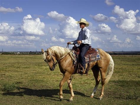 ¿Cómo frenar y hacer correr a un caballo? Trucos básicos para todo ...