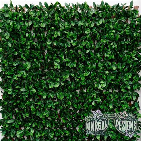 How to buy a Custom Artificial Hedge: A Step by Step Guide – Unreal Designs, Inc.