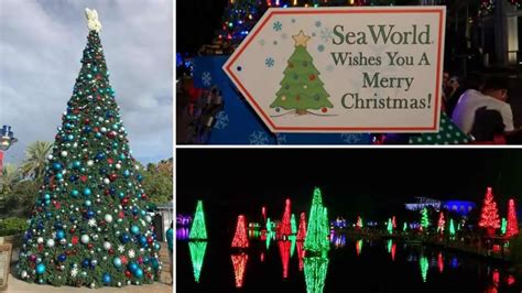 Christmas at SeaWorld Orlando (Complete Guide) – Endless Summer Florida