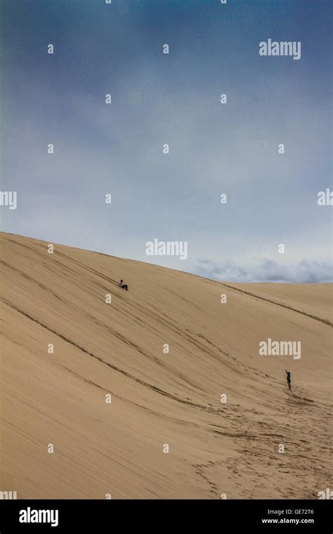 Port stephens sand dunes in Australia Stock Photo - Alamy