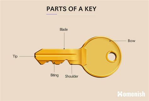 9 Main Parts of a Key (with Illustrated Diagram) - Homenish | Key, Art and literature, Diagram