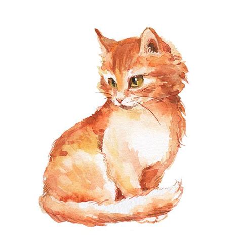 Royalty Free Ginger Cat Clip Art, Vector Images & Illustrations - iStock