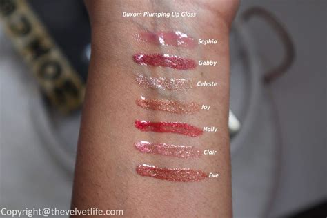 Buxom Glam and Gilt-Y Plumping Lip Gloss Duo review swatch Archives ...