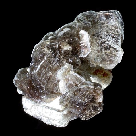 Muscovite