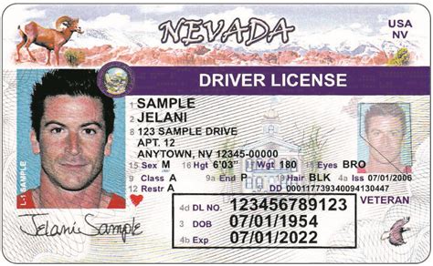 Online DMV license renewal available ahead of schedule | Pahrump Valley ...