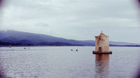 Laguna di Orbetello (Albinia) - 2020 All You Need to Know BEFORE You Go (with Photos) - Tripadvisor